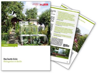 Das bunte Grün (Berlin)